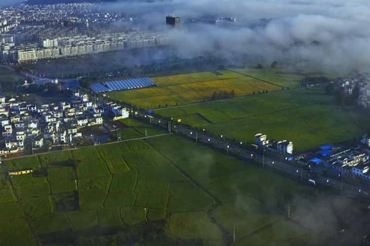 173337675767513af51f29f