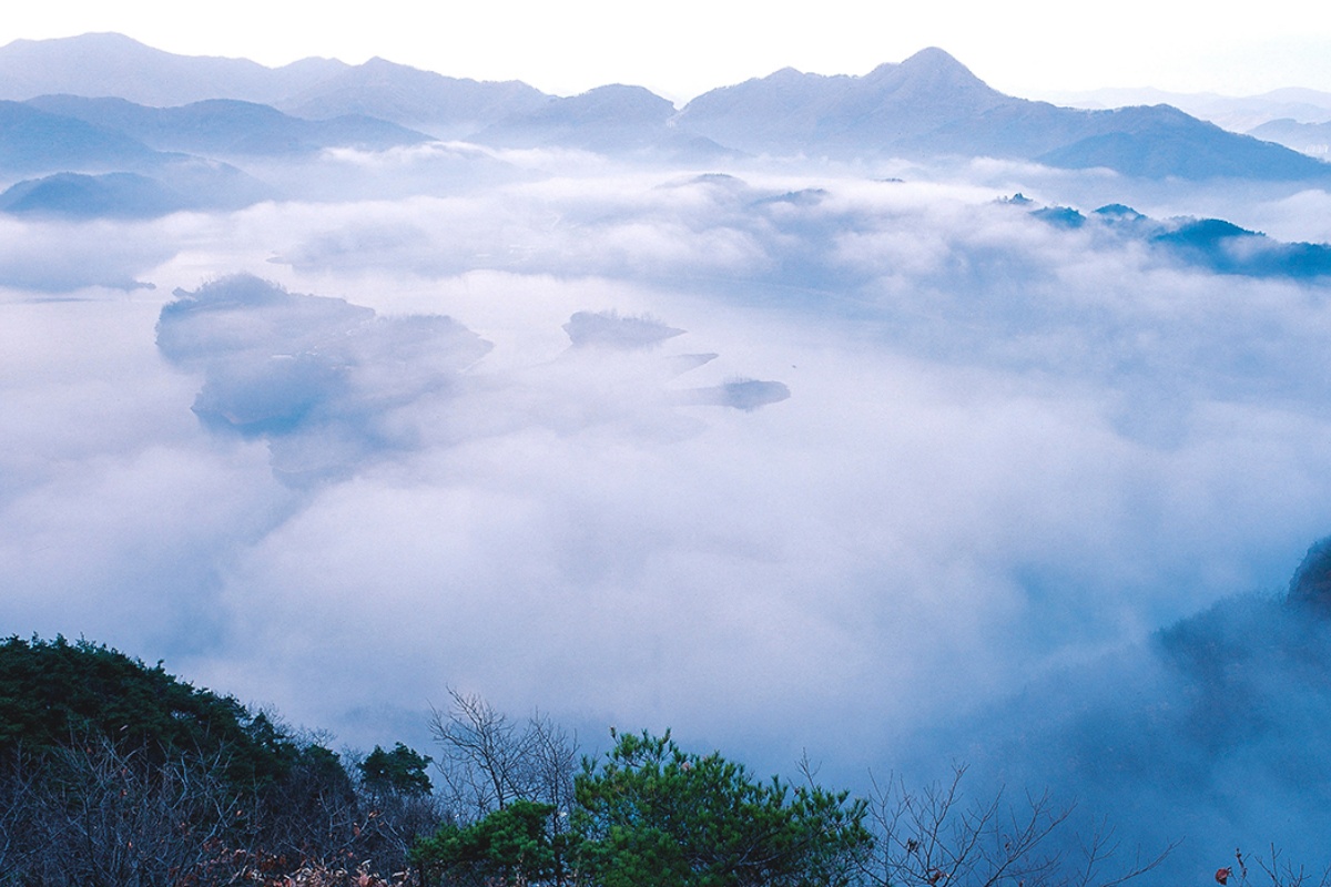 173372936767569c57a6ed8