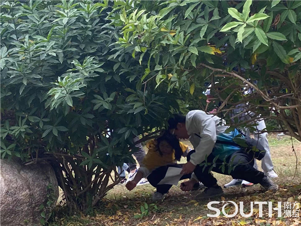 球客岛-专业足球角逐直播实时足球比分数据分析平台