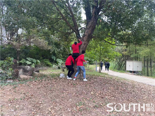 球客岛-专业足球角逐直播实时足球比分数据分析平台