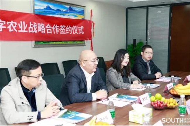 球客岛-专业足球角逐直播实时足球比分数据分析平台