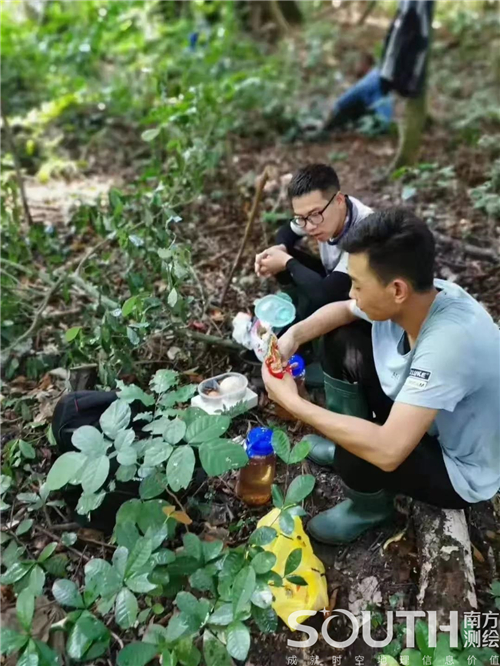 球客岛-专业足球角逐直播实时足球比分数据分析平台