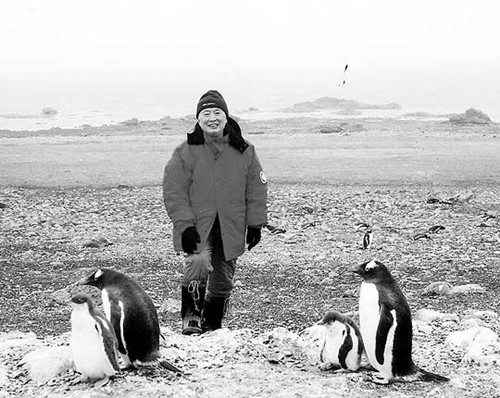 球客岛-专业足球角逐直播实时足球比分数据分析平台