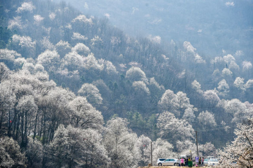 球客岛-专业足球角逐直播实时足球比分数据分析平台